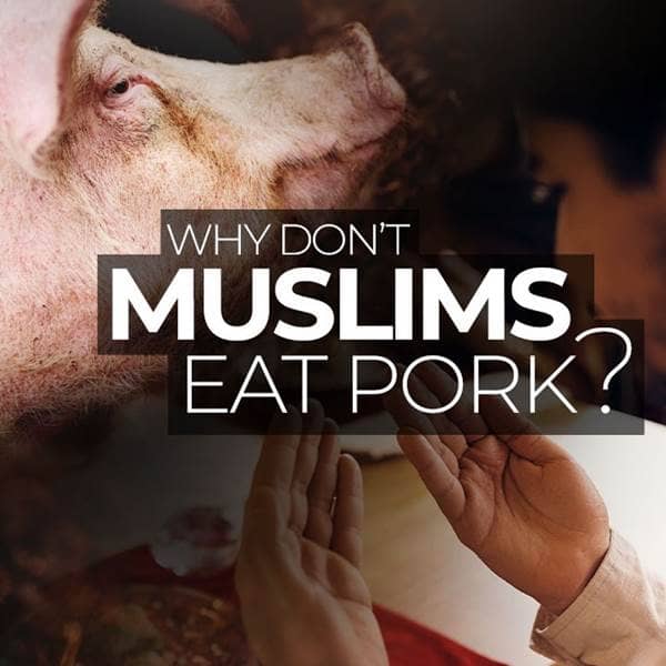 Answers - Why Don't Muslims Eat Pork? - Episode 38